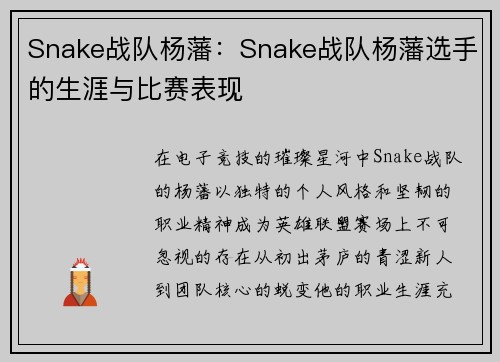 Snake战队杨藩：Snake战队杨藩选手的生涯与比赛表现