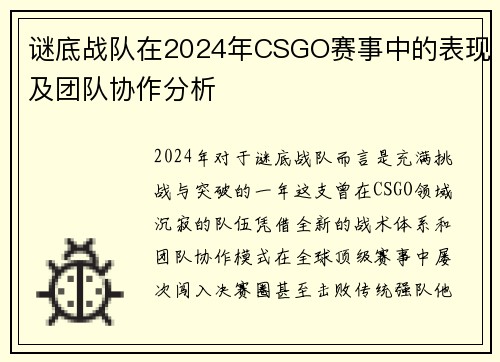 谜底战队在2024年CSGO赛事中的表现及团队协作分析